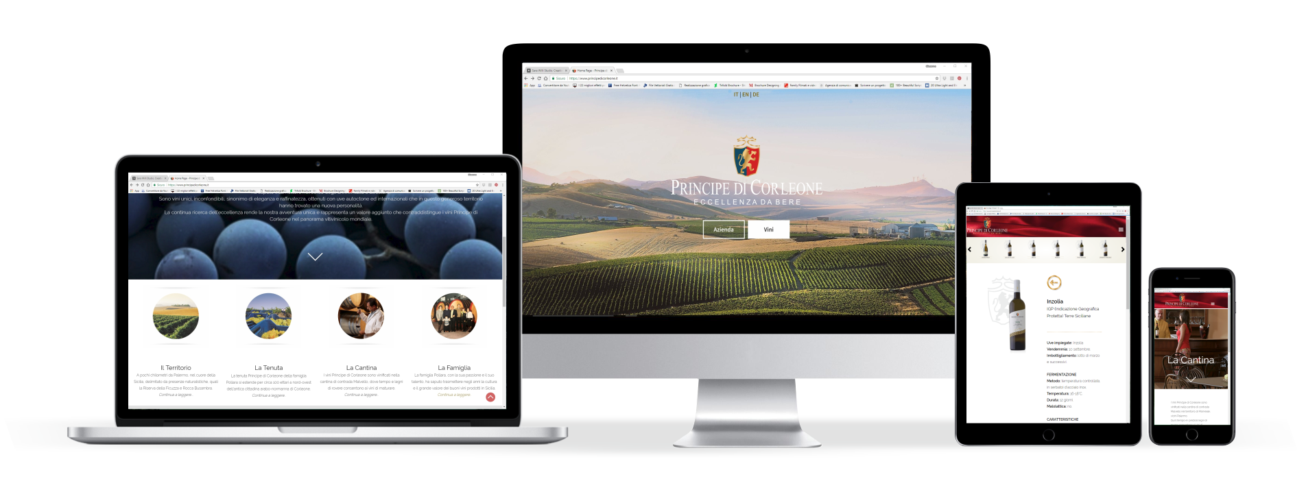 Web Principe trasparente